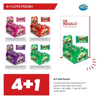 LOTE POOSH 4 + 1