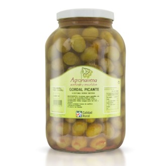 OLIVI GORDAL PICANTE GALON 2.4 KG